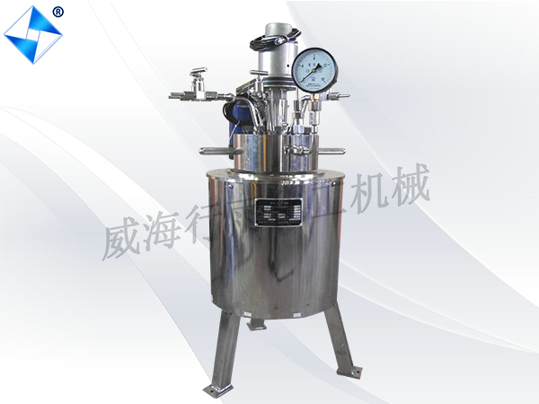 广东5L实验室反应釜