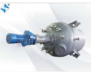 广东大型生产型反应釜