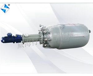 广东生产型反应釜