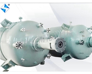 广东生产型反应釜