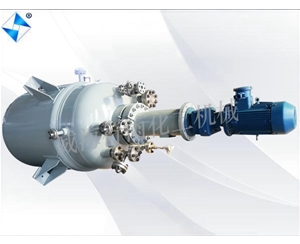 广东生产型反应釜